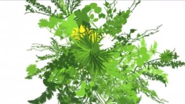 4 k yemyeşil çiçek bitkileri büyüyen otlar çalılar çalılar bitki yaprakları.