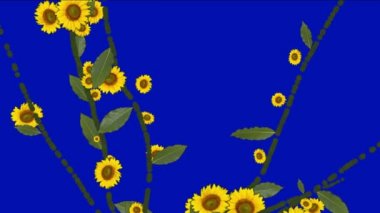 4 k artan bahar daisy kış Yasemin çiçek dalları bitki örtüsü bitki.