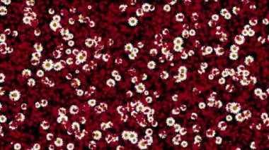 4 k gül yaprakları daisy çelenk düğün günü arka plan şeklinde.