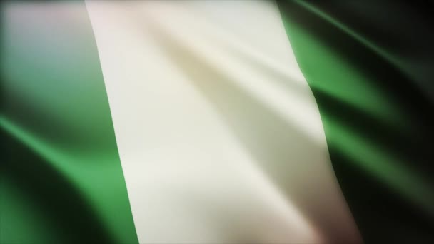 4k Nigeria National flag wrinkles wind in Nigerian seamless loop background. — Stock Video