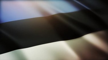 4k Estonya Ulusal Bayrak Kırışıklıkları Estonya 'nın dikdörtgen arka planında rüzgarı.