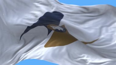 4k Avrasya Ekonomik Birliği bayrağı, EEU kumaş dokusu pürüzsüz döngü arka planı.