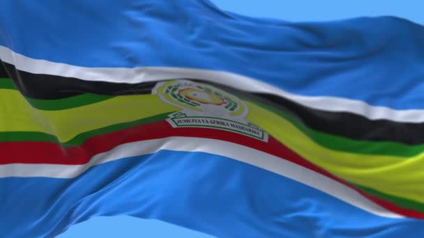 4k Flaga Wspólnoty Wschodnioafrykańskiej, faktura tkaniny EAC bezszwowe tło pętli. — Wideo stockowe