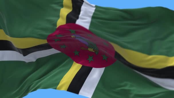 4k Dominic Flaga narodowa zmarszczki pętla bezszwowy wiatr w tle błękitne niebo. — Wideo stockowe