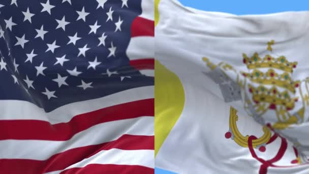 4k Amerikas förenta stater Usa och Vatikanens nationella flagga sömlös bakgrund. — Stockvideo