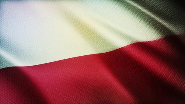 4k Polen Nationale vlag rimpels lus naadloze wind in Polen Poolse achtergrond. — Stockvideo