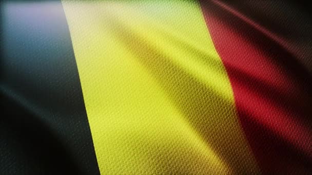 4k Belgium National flag wrinkles wind in Belgian seamless loop background. — 비디오