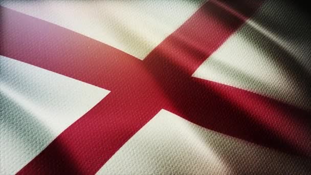 4k Alabama flag,state in United States America,cloth texture loop background. — Stock Video