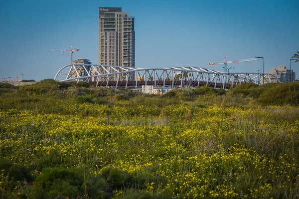 Netanya, İsrail. Şehir manzarası
