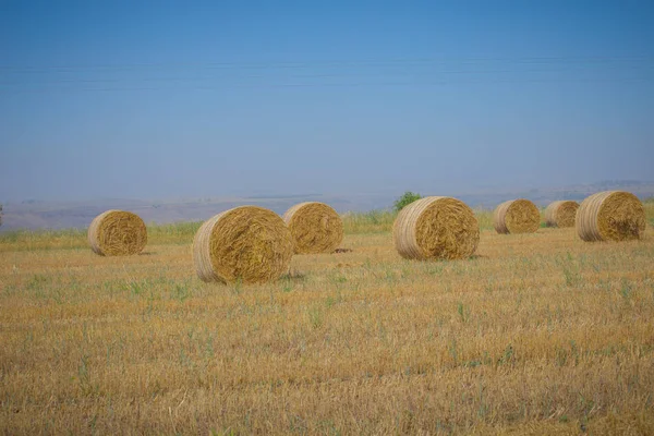 Halmkärvar Höst Fall — Stockfoto