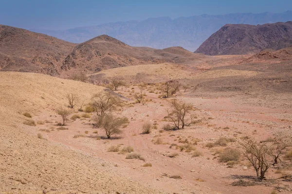 Timna Vadisi, Arava / Arabah, İsrail.