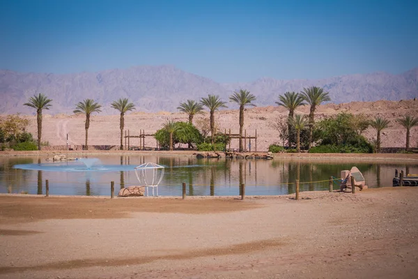 Timna Vadisi, Arava / Arabah, İsrail.