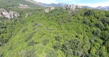 Yapraklı ve iğne yapraklı ormanlar ile kaplı Dağları üzerinde uçuş
