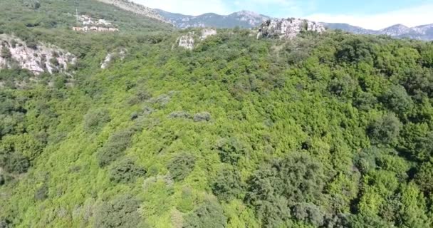 Lot Nad Górami Pokryte Lasy Liściaste Iglaste — Wideo stockowe