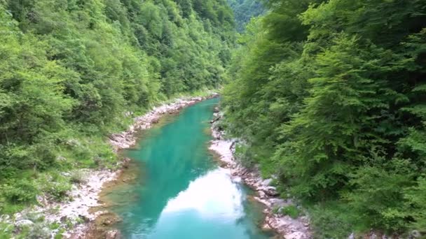 Desfiladeiro do rio das montanhas — Vídeo de Stock