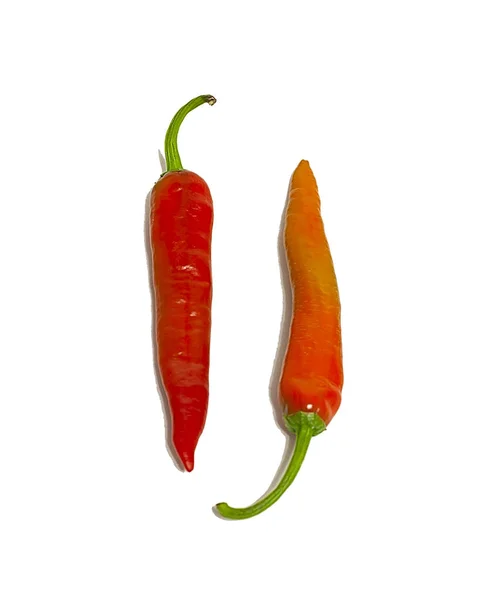 Pimenta Pimenta Temperos Comida Vermelha — Fotografia de Stock