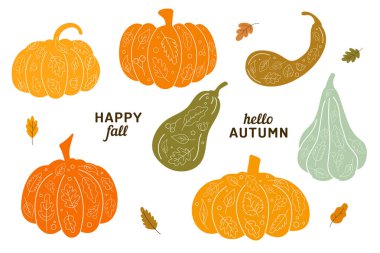 Sonbahar yapraklı ve dekoratif desenli kabak ve kabak örnekleri. 