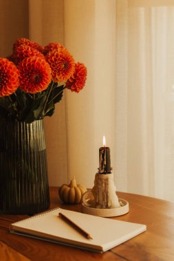 Samimi sonbahar hayatı vazodaki yıldız çiçeği buketi, yanan mum, balkabağı ve tahta masadaki kalemle dolu defter. Sıcak ev dekorasyonu, düşüş titreşimleri, kızlık zarı atmosferi, Şükran Günü konsepti.