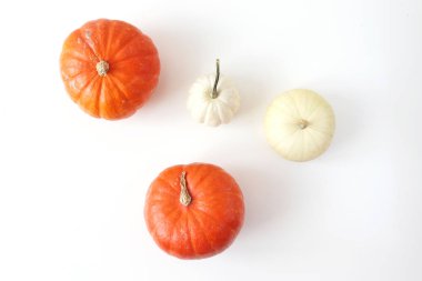 Kabak ile masaüstü sahne. Boş sonbahar tebrik kartı.