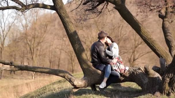 Dos amantes pasan tiempo juntos en la naturaleza, en un ambiente romántico — Vídeos de Stock