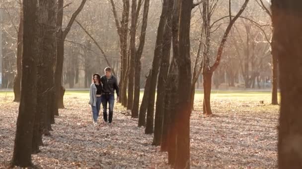 Verliefde paar wandelingen in het bos in het vroege voorjaar in een romantische sfeer. Romantische doorgang door de tunnel van bomen — Stockvideo