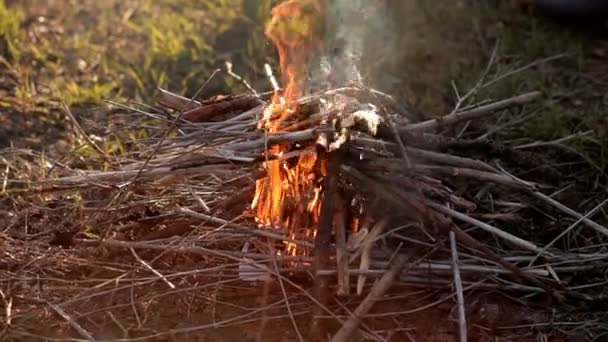 The fire of a bonfire on the nature in the early spring — Stock Video