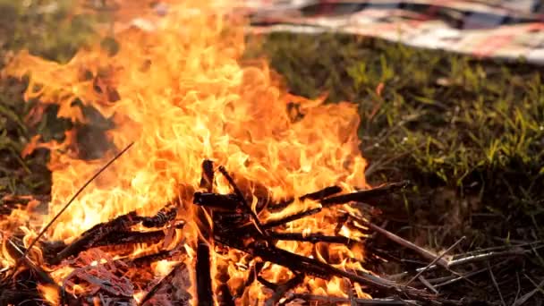 Brûlage lumineux d'un feu en plein air — Video