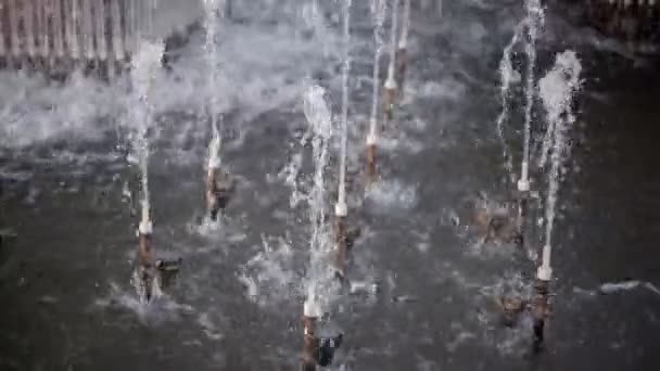 Jets de fontaine d'eau par temps chaud d'été dans le parc — Video