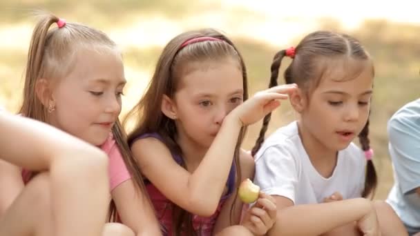 Los niños se sientan en el césped en la naturaleza, socializan y comen manzanas — Vídeos de Stock