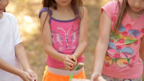 Kinder haben im Sommer viel Spaß auf der Liegewiese im Park, lachen und spielen — Stockvideo