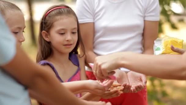 Kinder haben Spaß in der Natur und spielen. Kinder bekommen für das Spiel farbigen Sand in die Hände geschüttet — Stockvideo