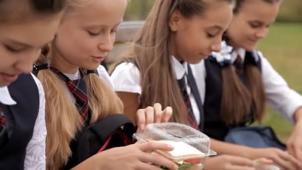 As crianças de uniforme escolar no parque ao almoço comem sanduíches. Escola, comida, descanso — Vídeo de Stock