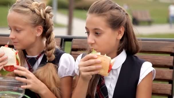 Les enfants en uniforme scolaire dans le parc au déjeuner mangent des sandwichs. Sandwich de vacances — Video