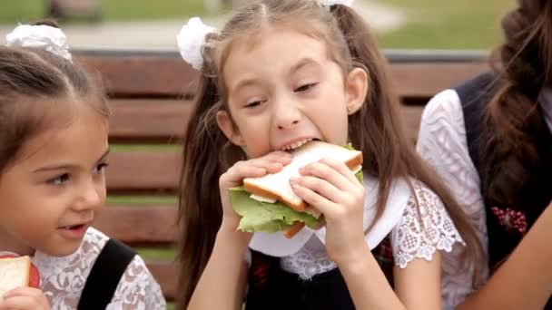 Τα παιδιά σε σχολική στολή μετά τα μαθήματα Αφιερώστε χρόνο στο πάρκο στο κάτω μέρος του σάντουιτς. Τρόφιμα, σάντουιτς την ημέρα — Αρχείο Βίντεο