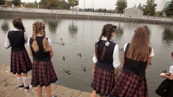 Barn efter skolan gå i parken vid dammen och mata ankor. Natur, fåglar — Stockvideo