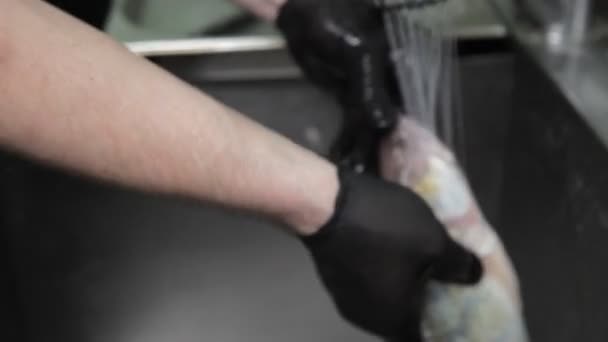 Cuisiner Avec Des Gants Sur Poisson Découpé Dans Une Cuisine — Video