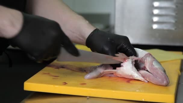 Cook with gloves on cut up fish in a restaurant kitchen — Stock Video