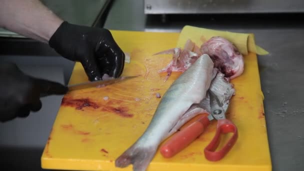 Μαγειρέψτε με γάντια περικοπή επάνω ψάρια σε κουζίνα εστιατορίου — Αρχείο Βίντεο