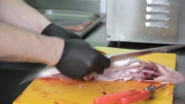 Приготовить в перчатках на нарезанной рыбе на кухне ресторана — стоковое видео