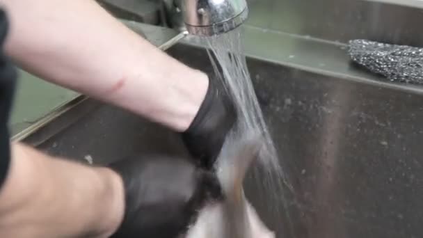 Cuisiner avec des gants sur du poisson découpé dans une cuisine de restaurant — Video
