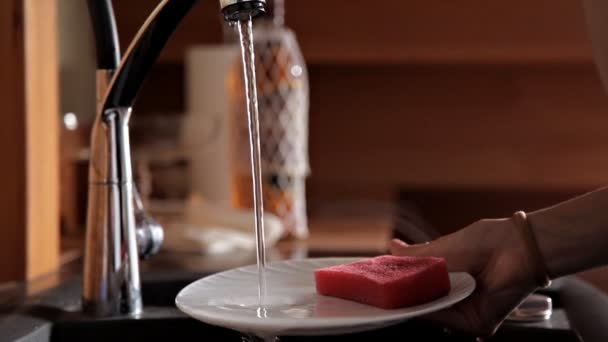 Jeune fille lavant la vaisselle dans la cuisine. Maison propre — Video