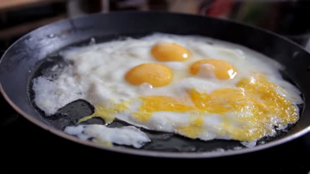 In the morning the girl prepares breakfast at home in the kitchen. Cooking eggs at home in the kitchen. Close-up — Stock Video