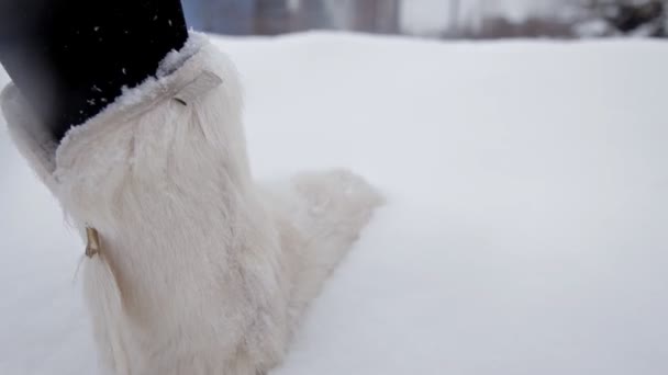 Piernas de mujer caminando sobre la nieve con huellas en el día nevado — Vídeos de Stock