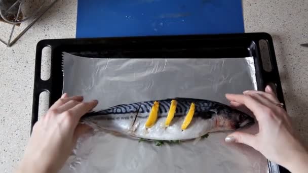 The girl prepares fish with lemon on the table in his kitchen. Dinner, cooking — Stock Video