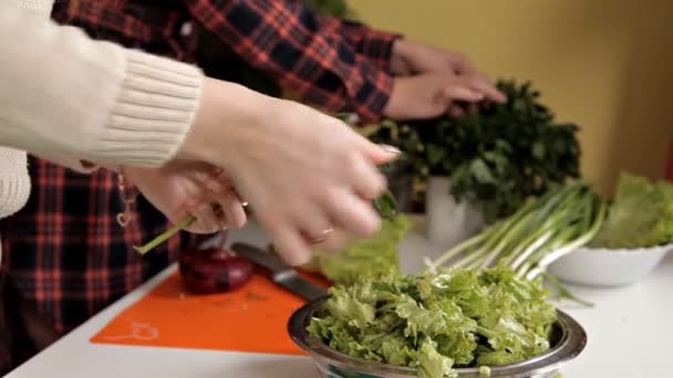 Yeşil salata. Sağlıklı yemek pişirme işlemi, — Stok video