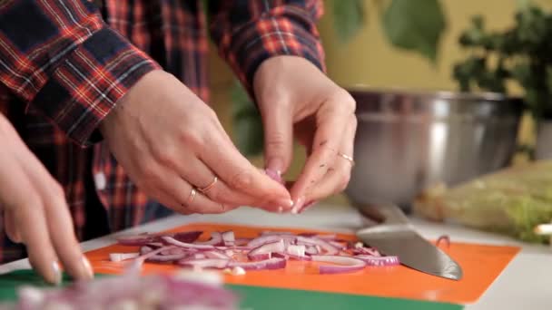 Cipolle rosse biologiche fresche su un legno. Tagliare a metà, fetta e cipolla — Video Stock