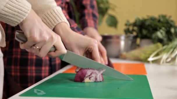 Frische organische rote Zwiebeln auf einem Holz. halbieren, in Scheiben schneiden und Zwiebel — Stockvideo