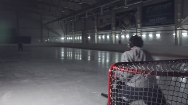 Хоккейный вратарь отражает свободный бросок от нападающего. the view from the back — стоковое видео