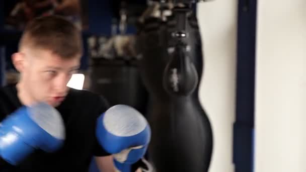 Boxeador masculino involucrado en el gimnasio, golpeando la pera — Vídeos de Stock