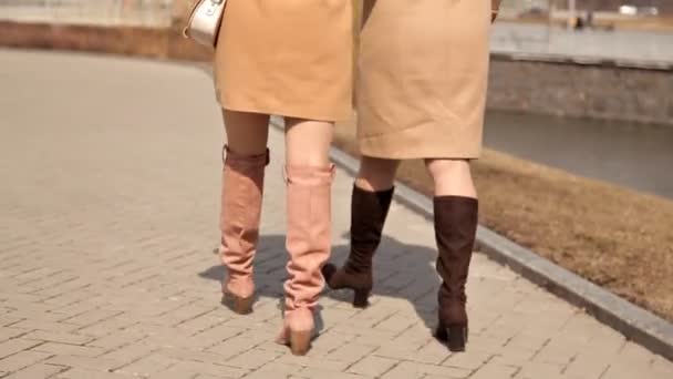 Mother and daughter walk on a spring day, rear view, from the back. Autumn. water — Stock Video